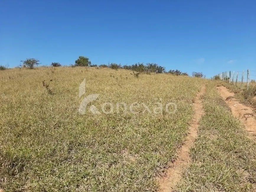 Sítio / Rancho com 4 quartos à venda, 150m2 em Centro, Paraibuna - SP - imagem 9 Foto 9 de Sítio / Rancho com 4 quartos à venda, 150m2 em Centro, Paraibuna - SP