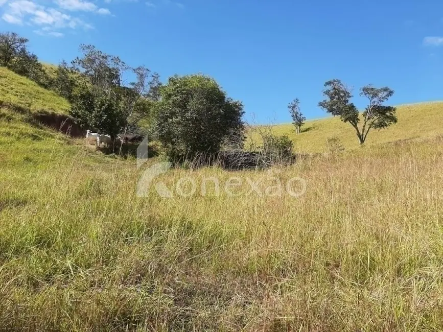 Sítio / Rancho com 4 quartos à venda, 150m2 em Centro, Paraibuna - SP - imagem 4 Foto 4 de Sítio / Rancho com 4 quartos à venda, 150m2 em Centro, Paraibuna - SP
