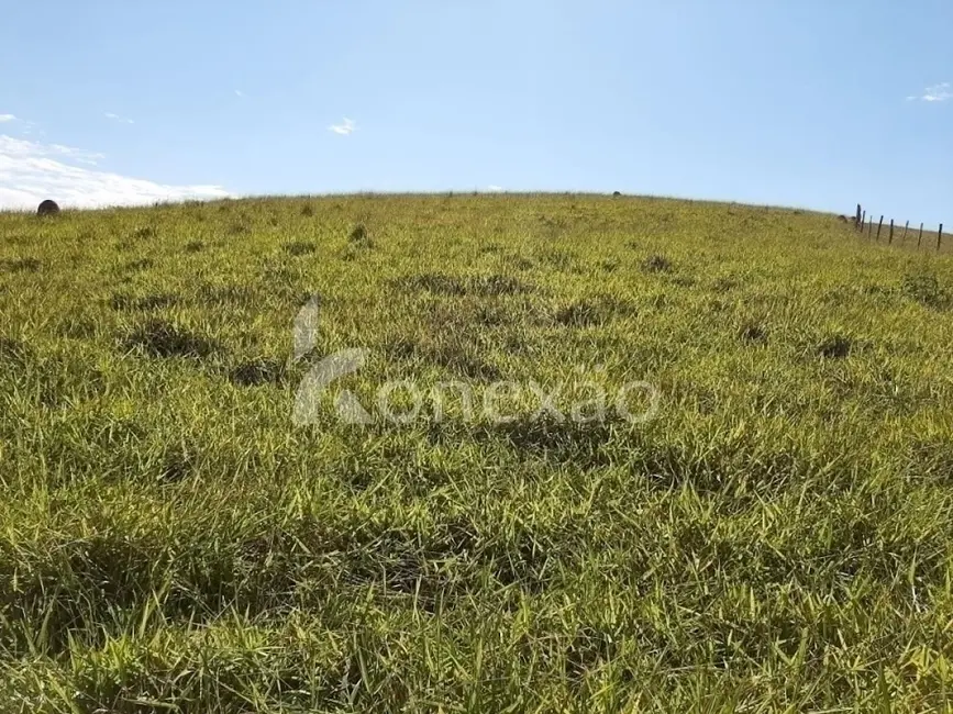 Sítio / Rancho com 4 quartos à venda, 150m2 em Centro, Paraibuna - SP - imagem 8 Foto 8 de Sítio / Rancho com 4 quartos à venda, 150m2 em Centro, Paraibuna - SP