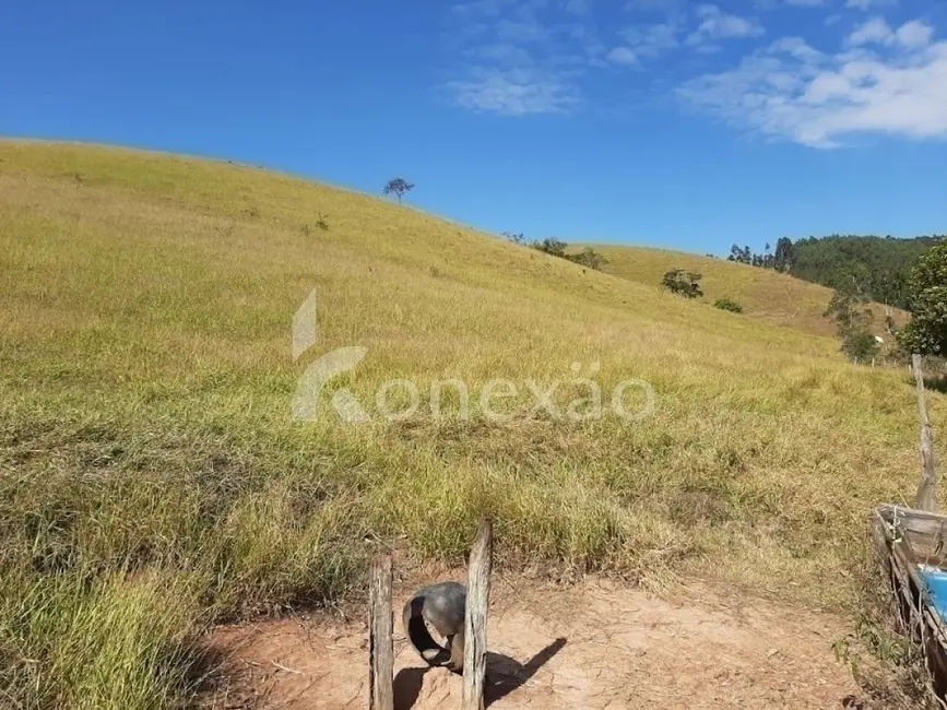 Sítio / Rancho com 4 quartos à venda, 150m2 em Centro, Paraibuna - SP - imagem 3 Foto 3 de Sítio / Rancho com 4 quartos à venda, 150m2 em Centro, Paraibuna - SP