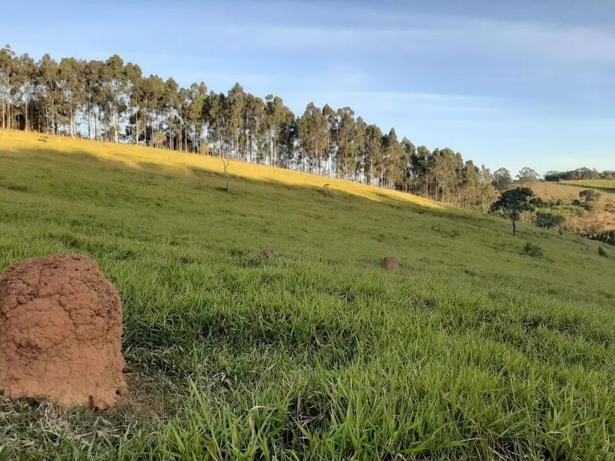 Foto 8 de Sítio / Rancho com 3 quartos à venda, 200m2 em Jambeiro - SP