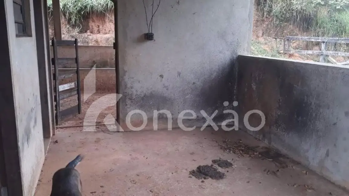 Chácara com 4 quartos à venda, 19m2 em Centro, Paraibuna - SP - imagem 8 Foto 8 de Chácara com 4 quartos à venda, 19m2 em Centro, Paraibuna - SP