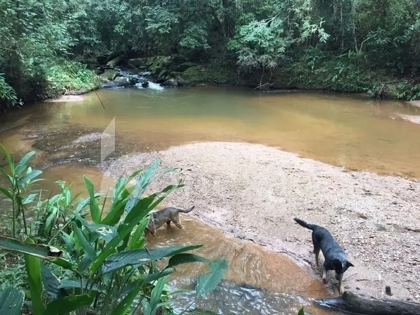 Chácara com 4 quartos à venda, 19m2 em Centro, Paraibuna - SP - imagem 1 Foto 1 de Chácara com 4 quartos à venda, 19m2 em Centro, Paraibuna - SP