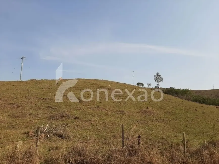 Sítio / Rancho com 3 quartos à venda, 200m2 em Paraibuna - SP - imagem 6 Foto 6 de Sítio / Rancho com 3 quartos à venda, 200m2 em Paraibuna - SP