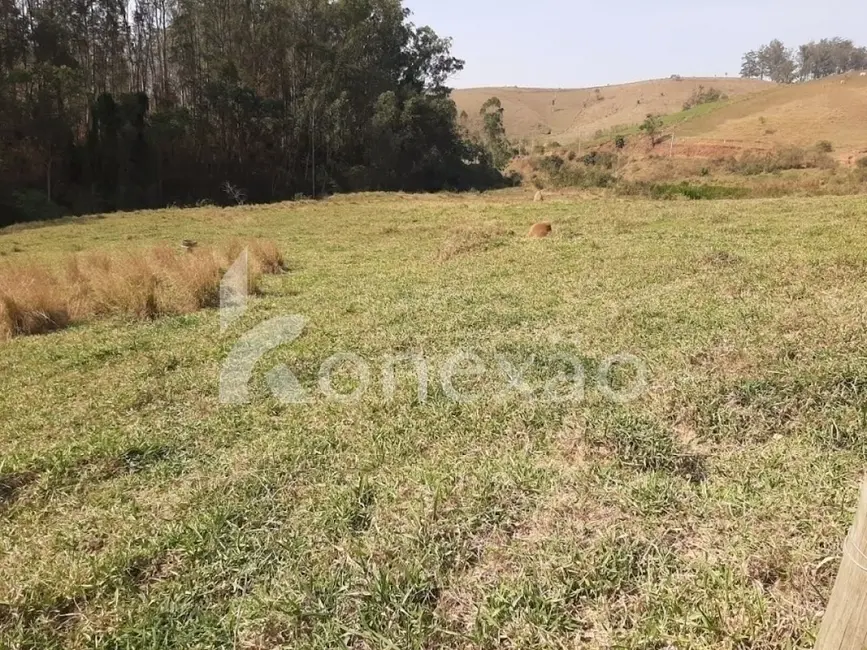 Sítio / Rancho com 3 quartos à venda, 200m2 em Paraibuna - SP - imagem 5 Foto 5 de Sítio / Rancho com 3 quartos à venda, 200m2 em Paraibuna - SP