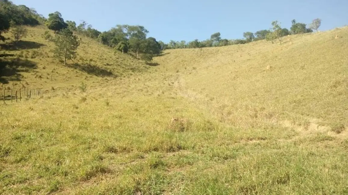 Sítio / Rancho com 1 quarto à venda, 90m2 em Centro, Paraibuna - SP - imagem 7 Foto 7 de Sítio / Rancho com 1 quarto à venda, 90m2 em Centro, Paraibuna - SP