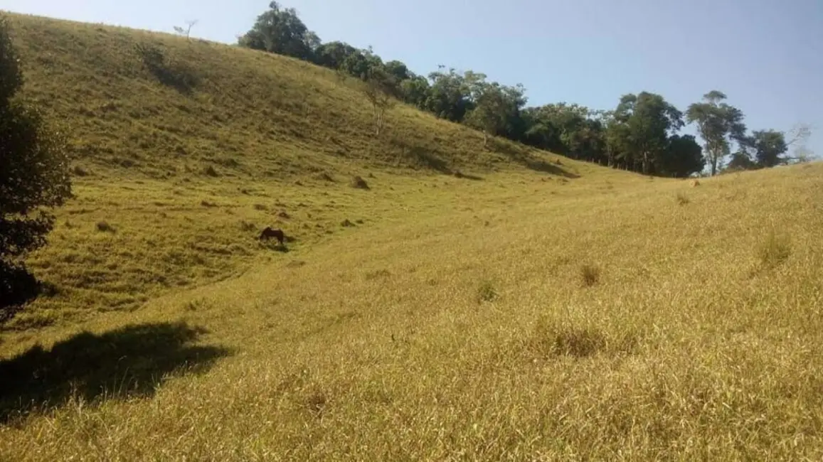 Sítio / Rancho com 1 quarto à venda, 90m2 em Centro, Paraibuna - SP - imagem 8 Foto 8 de Sítio / Rancho com 1 quarto à venda, 90m2 em Centro, Paraibuna - SP