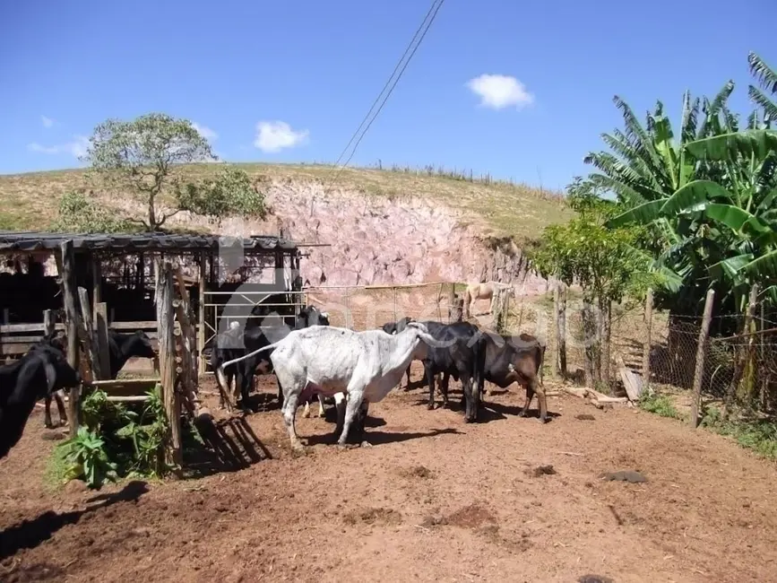 Fazenda / Haras com 4 quartos à venda, 200m2 em Centro, Paraibuna - SP - imagem 7 Foto 7 de Fazenda / Haras com 4 quartos à venda, 200m2 em Centro, Paraibuna - SP