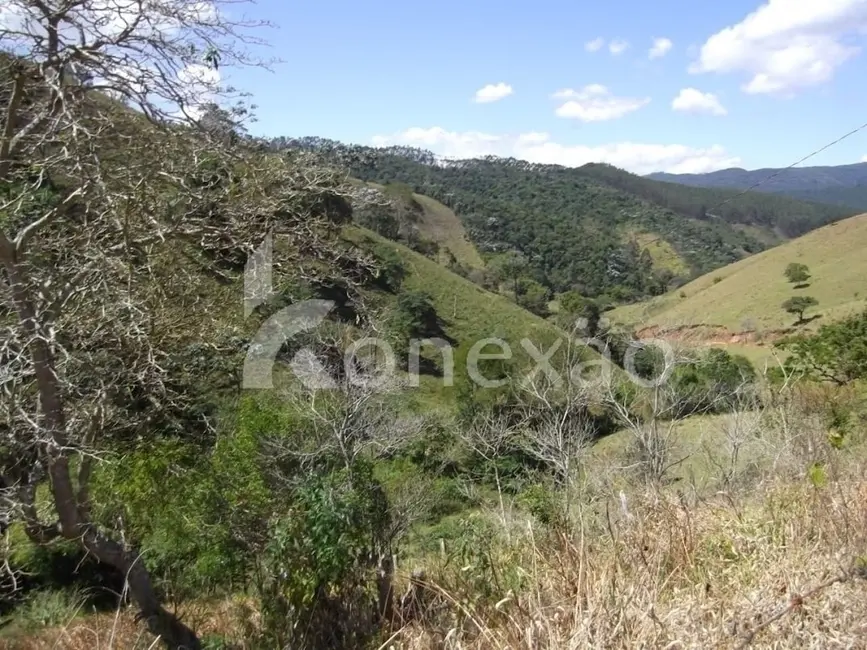Fazenda / Haras com 4 quartos à venda, 200m2 em Centro, Paraibuna - SP - imagem 4 Foto 4 de Fazenda / Haras com 4 quartos à venda, 200m2 em Centro, Paraibuna - SP