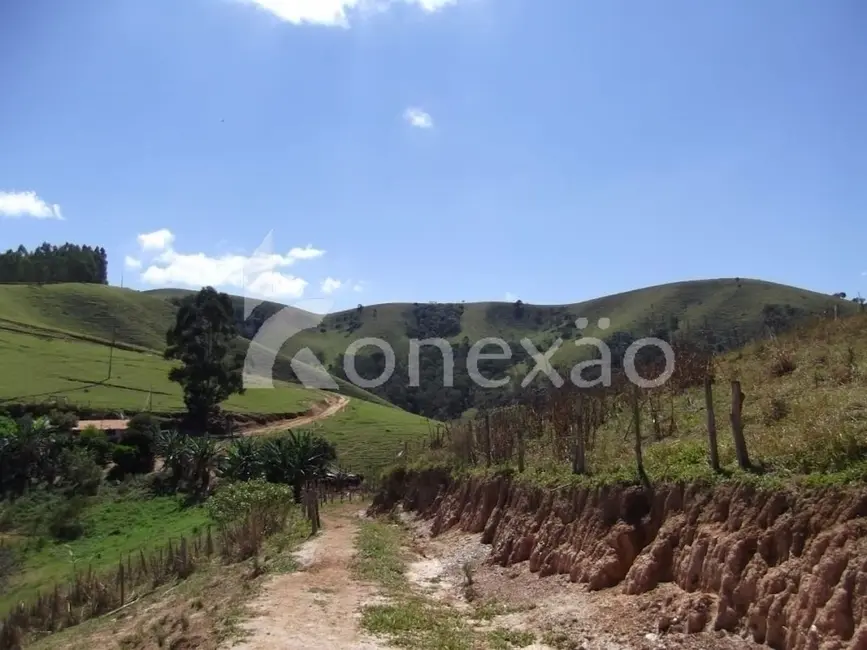 Fazenda / Haras com 4 quartos à venda, 200m2 em Centro, Paraibuna - SP - imagem 9 Foto 9 de Fazenda / Haras com 4 quartos à venda, 200m2 em Centro, Paraibuna - SP