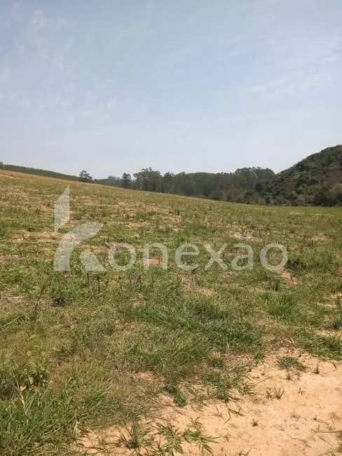 Sítio / Rancho com 2 quartos à venda, 200m2 em Sao Jose Dos Campos - SP - imagem 3 Foto 3 de Sítio / Rancho com 2 quartos à venda, 200m2 em Sao Jose Dos Campos - SP
