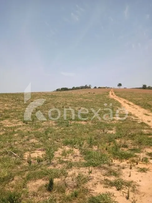 Sítio / Rancho com 2 quartos à venda, 200m2 em Sao Jose Dos Campos - SP - imagem 8 Foto 8 de Sítio / Rancho com 2 quartos à venda, 200m2 em Sao Jose Dos Campos - SP