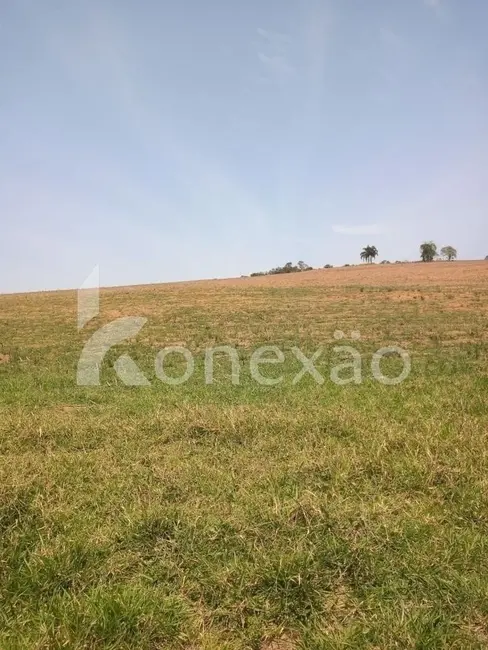 Sítio / Rancho com 2 quartos à venda, 200m2 em Sao Jose Dos Campos - SP - imagem 9 Foto 9 de Sítio / Rancho com 2 quartos à venda, 200m2 em Sao Jose Dos Campos - SP
