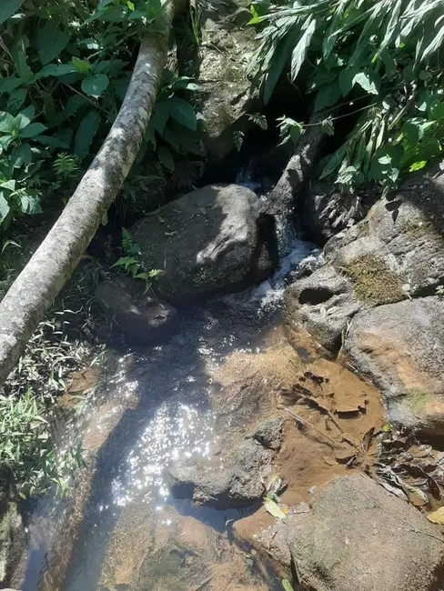 Foto 7 de Fazenda / Haras com 1 quarto à venda, 200m2 em Jambeiro - SP
