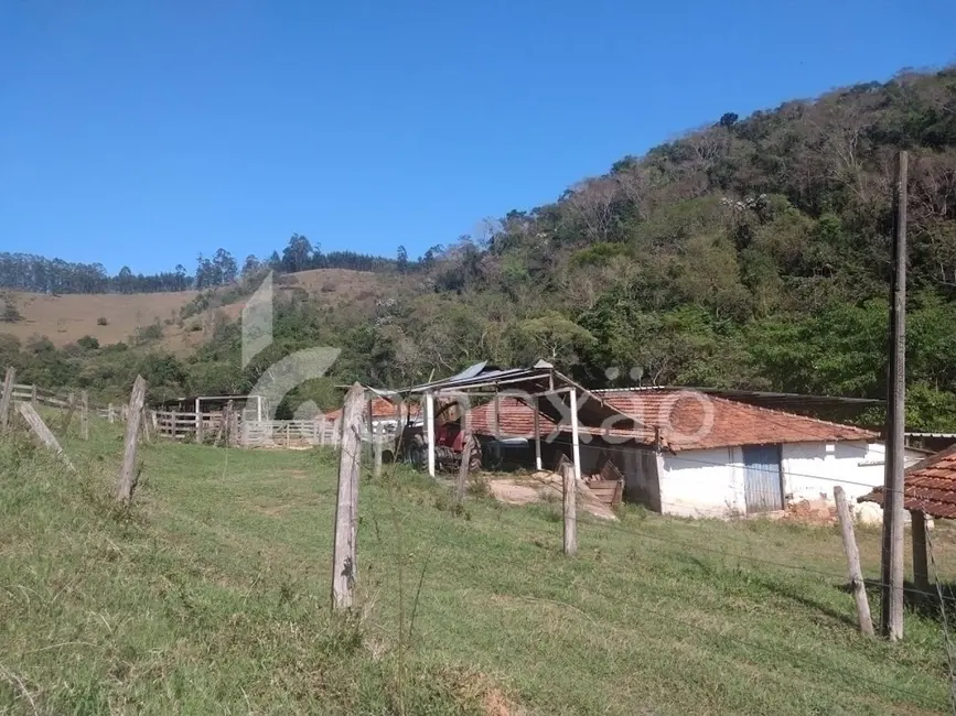 Fazenda / Haras com 4 quartos à venda, 100m2 em Monte Belo, Taubate - SP - imagem 5 Foto 5 de Fazenda / Haras com 4 quartos à venda, 100m2 em Monte Belo, Taubate - SP