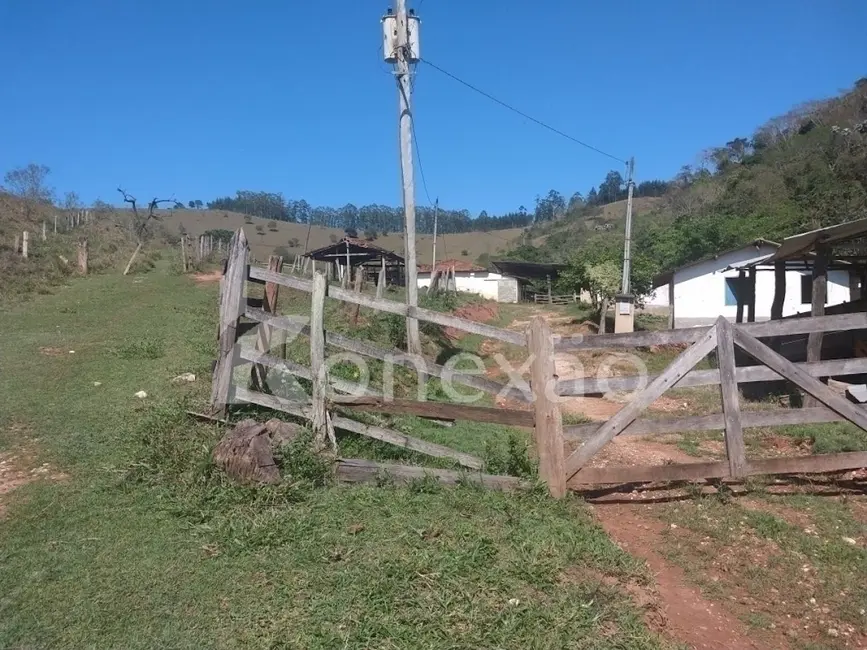 Fazenda / Haras com 4 quartos à venda, 100m2 em Monte Belo, Taubate - SP - imagem 4 Foto 4 de Fazenda / Haras com 4 quartos à venda, 100m2 em Monte Belo, Taubate - SP
