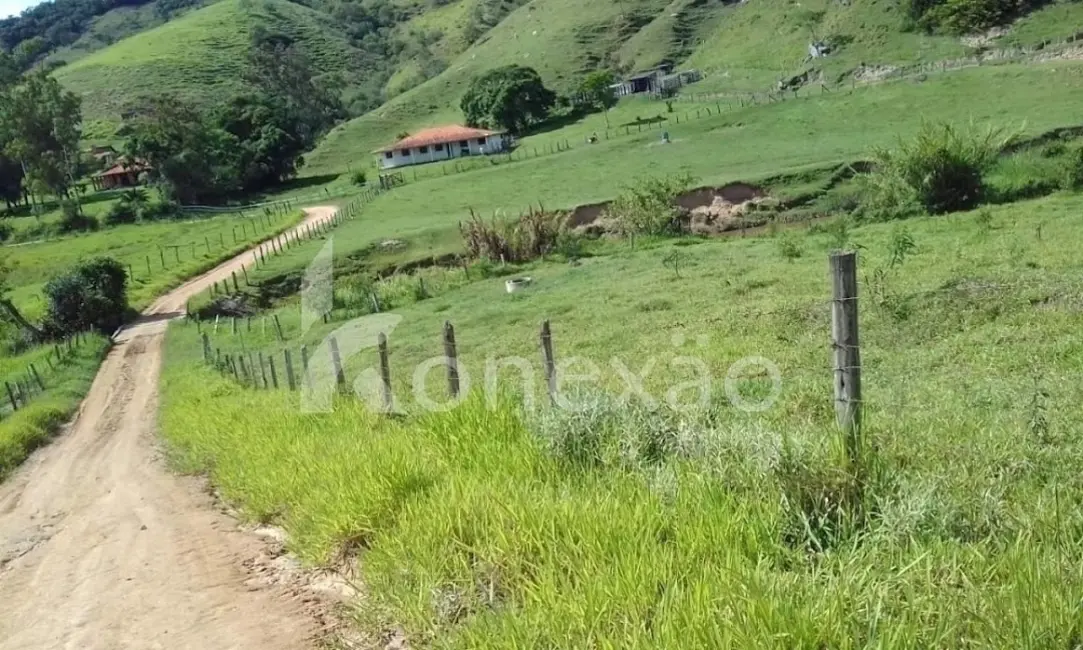 Fazenda / Haras com 3 quartos à venda, 200m2 em Centro, Cunha - SP - imagem 6 Foto 6 de Fazenda / Haras com 3 quartos à venda, 200m2 em Centro, Cunha - SP