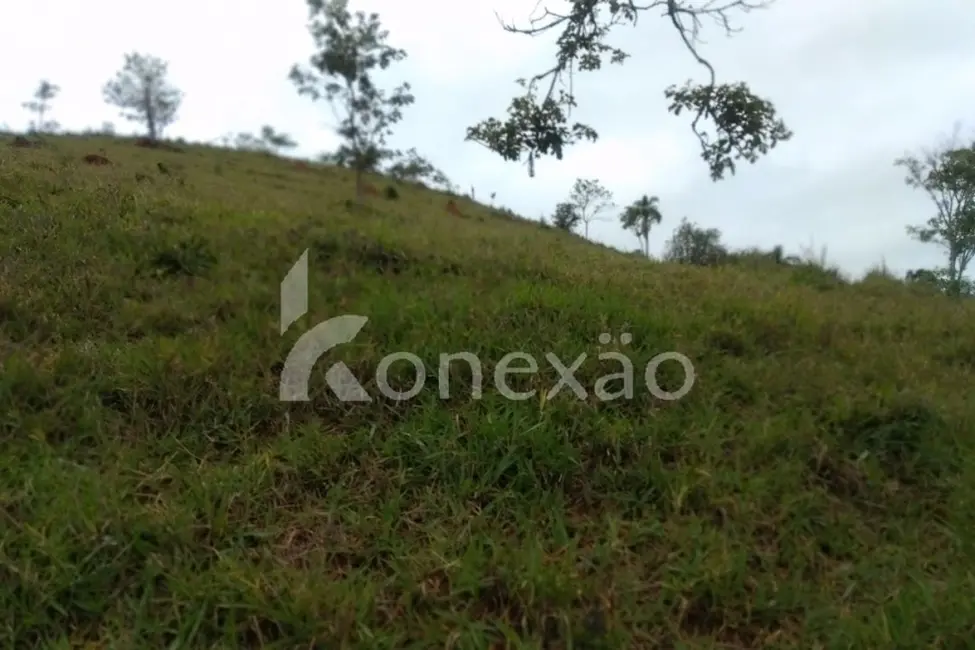 Sítio / Rancho com 4 quartos à venda, 300m2 em Jambeiro - SP - imagem 3 Foto 3 de Sítio / Rancho com 4 quartos à venda, 300m2 em Jambeiro - SP