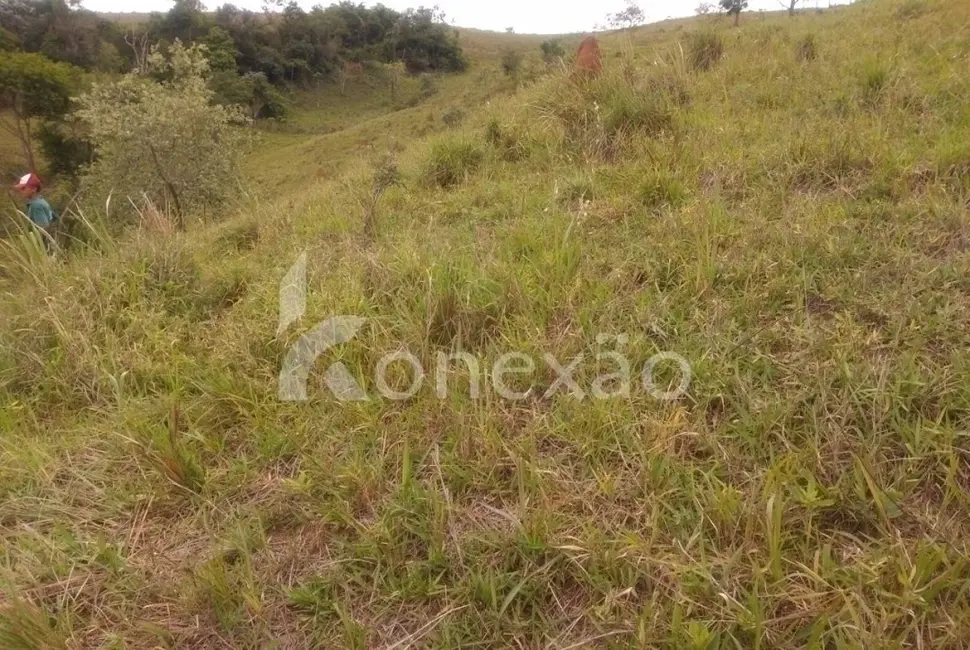 Sítio / Rancho com 4 quartos à venda, 300m2 em Jambeiro - SP - imagem 4 Foto 4 de Sítio / Rancho com 4 quartos à venda, 300m2 em Jambeiro - SP
