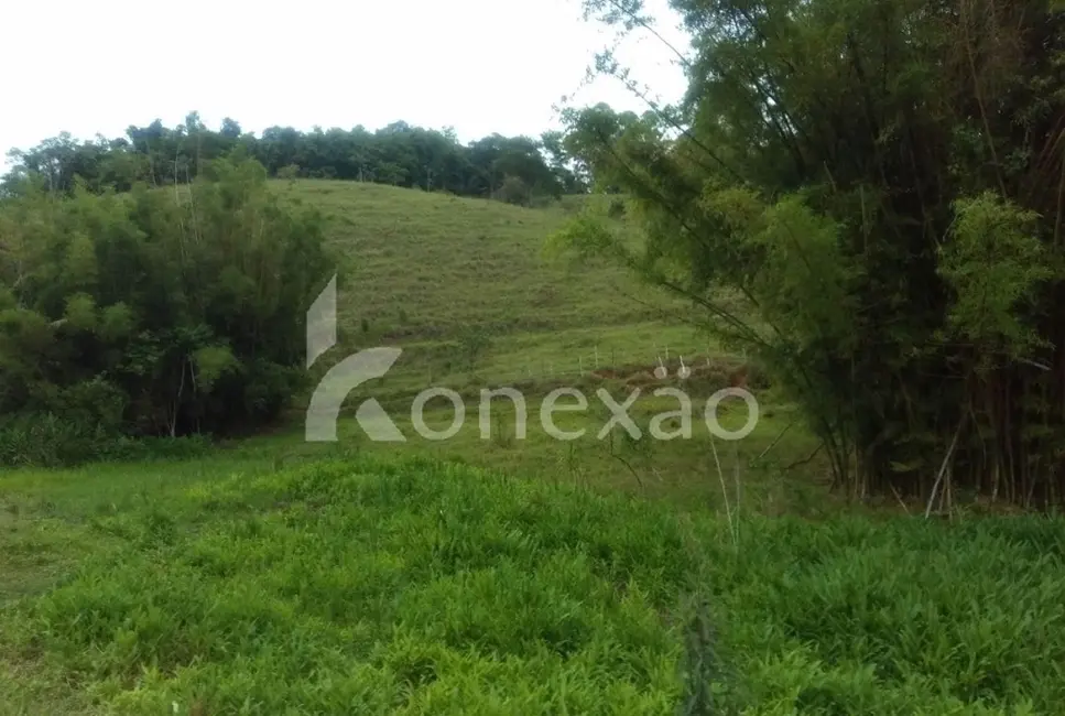Sítio / Rancho com 4 quartos à venda, 300m2 em Jambeiro - SP - imagem 5 Foto 5 de Sítio / Rancho com 4 quartos à venda, 300m2 em Jambeiro - SP