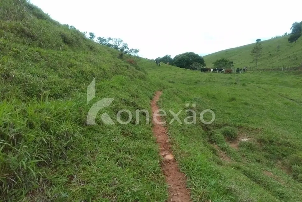 Sítio / Rancho com 4 quartos à venda, 300m2 em Jambeiro - SP - imagem 6 Foto 6 de Sítio / Rancho com 4 quartos à venda, 300m2 em Jambeiro - SP