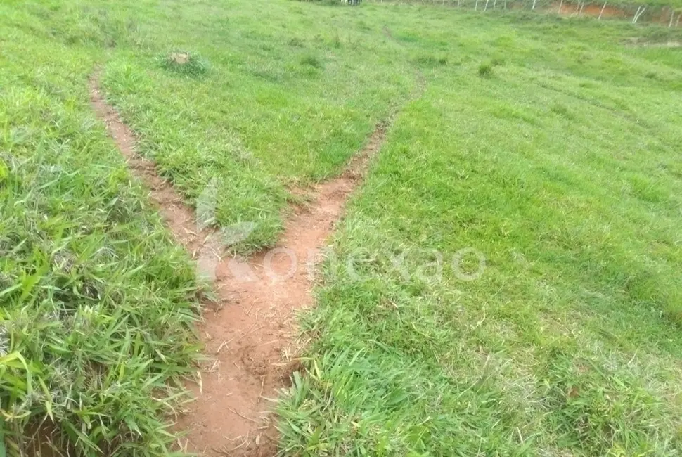Sítio / Rancho com 4 quartos à venda, 300m2 em Jambeiro - SP - imagem 8 Foto 8 de Sítio / Rancho com 4 quartos à venda, 300m2 em Jambeiro - SP