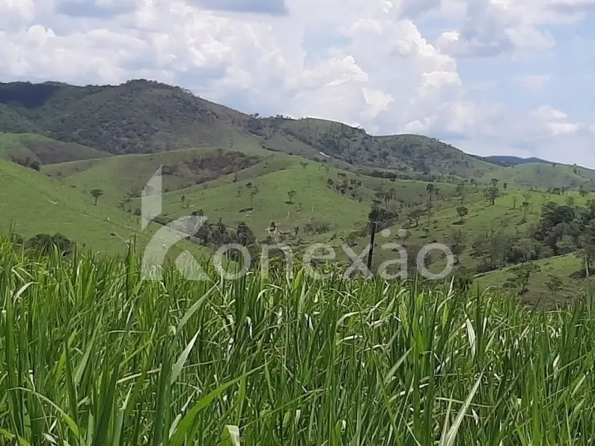 Fazenda / Haras com 4 quartos à venda, 250m2 em Centro, Cacapava - SP - imagem 5 Foto 5 de Fazenda / Haras com 4 quartos à venda, 250m2 em Centro, Cacapava - SP