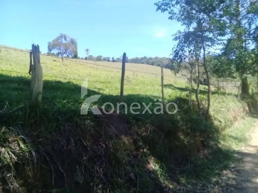 Fazenda / Haras com 4 quartos à venda, 200m2 em Centro, Paraibuna - SP - imagem 4 Foto 4 de Fazenda / Haras com 4 quartos à venda, 200m2 em Centro, Paraibuna - SP
