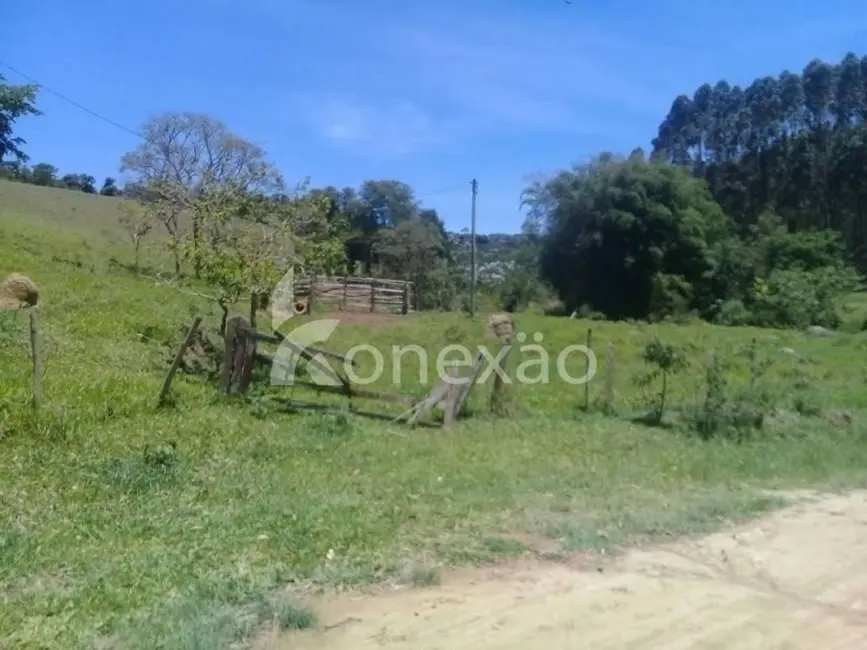 Fazenda / Haras com 4 quartos à venda, 200m2 em Centro, Paraibuna - SP - imagem 7 Foto 7 de Fazenda / Haras com 4 quartos à venda, 200m2 em Centro, Paraibuna - SP