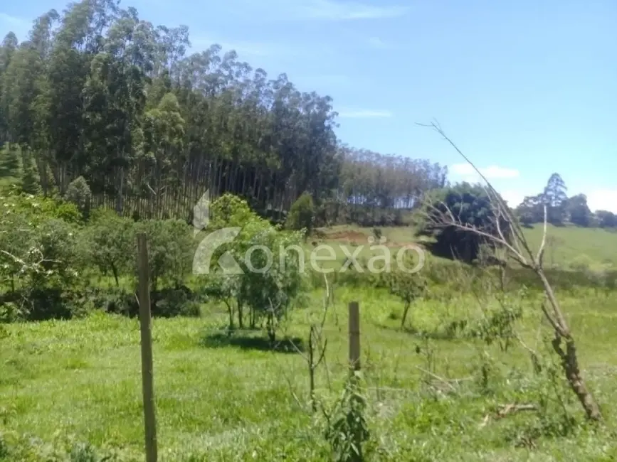 Fazenda / Haras com 4 quartos à venda, 200m2 em Centro, Paraibuna - SP - imagem 1 Foto 1 de Fazenda / Haras com 4 quartos à venda, 200m2 em Centro, Paraibuna - SP
