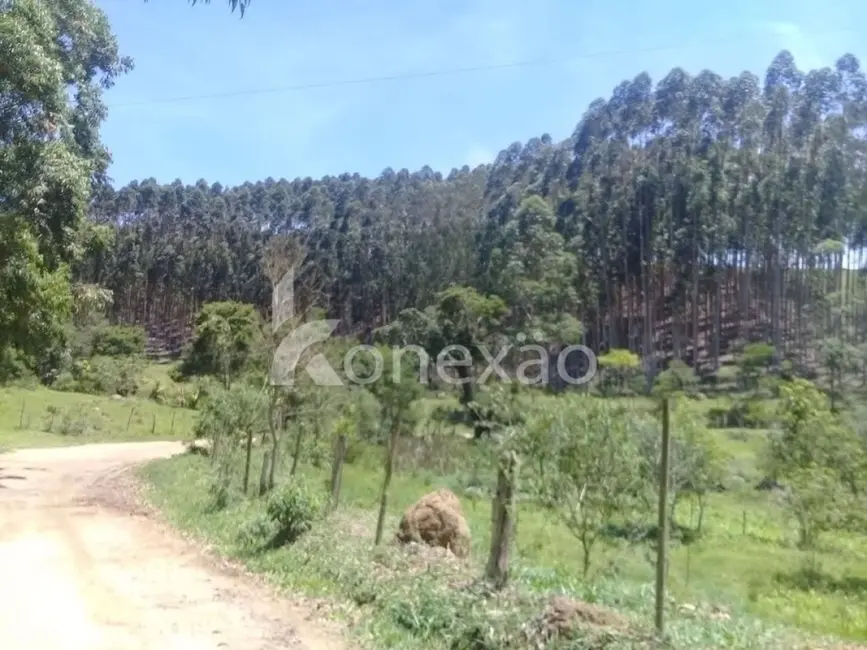 Fazenda / Haras com 4 quartos à venda, 200m2 em Centro, Paraibuna - SP - imagem 5 Foto 5 de Fazenda / Haras com 4 quartos à venda, 200m2 em Centro, Paraibuna - SP