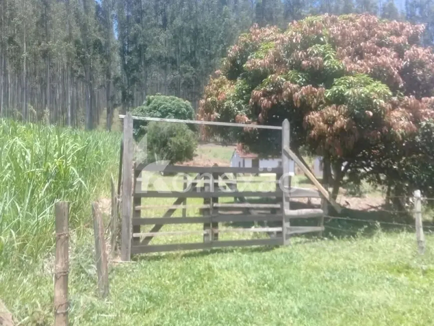 Fazenda / Haras com 4 quartos à venda, 200m2 em Centro, Paraibuna - SP - imagem 8 Foto 8 de Fazenda / Haras com 4 quartos à venda, 200m2 em Centro, Paraibuna - SP