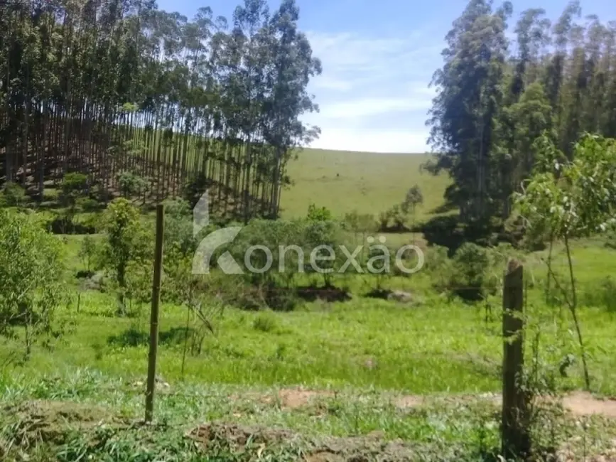 Fazenda / Haras com 4 quartos à venda, 200m2 em Centro, Paraibuna - SP - imagem 6 Foto 6 de Fazenda / Haras com 4 quartos à venda, 200m2 em Centro, Paraibuna - SP