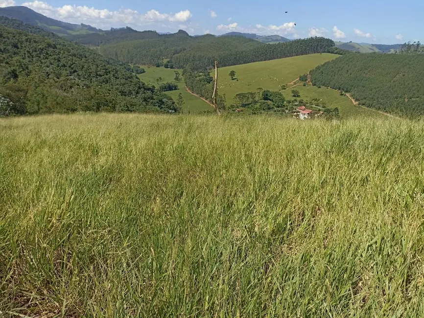 Sítio / Rancho com 4 quartos à venda, 200m2 em Centro, Paraibuna - SP - imagem 5 Foto 5 de Sítio / Rancho com 4 quartos à venda, 200m2 em Centro, Paraibuna - SP