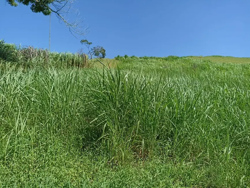 Sítio / Rancho com 4 quartos à venda, 200m2 em Centro, Paraibuna - SP - imagem 9 Foto 9 de Sítio / Rancho com 4 quartos à venda, 200m2 em Centro, Paraibuna - SP