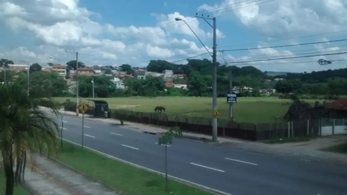Foto 4 de Terreno / Lote à venda, 100m2 em Sao Jose Dos Campos - SP