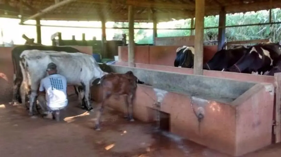 Foto 8 de Sítio / Rancho com 4 quartos à venda, 100m2 em Cunha - SP