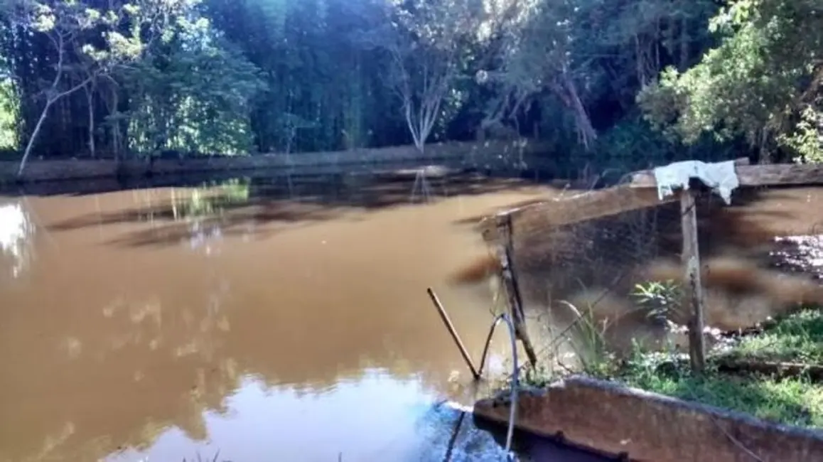 Foto 1 de Sítio / Rancho com 4 quartos à venda, 100m2 em Cunha - SP