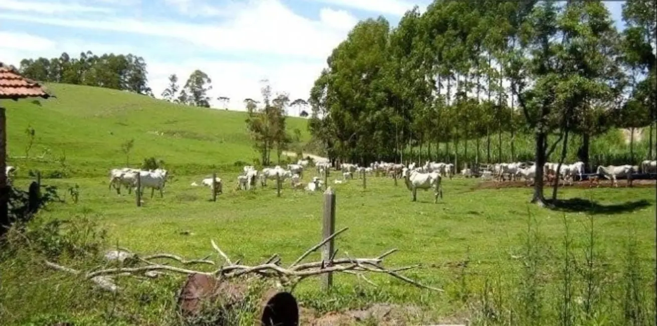 Foto 2 de Fazenda / Haras com 4 quartos à venda, 300m2 em Centro, Guaratingueta - SP