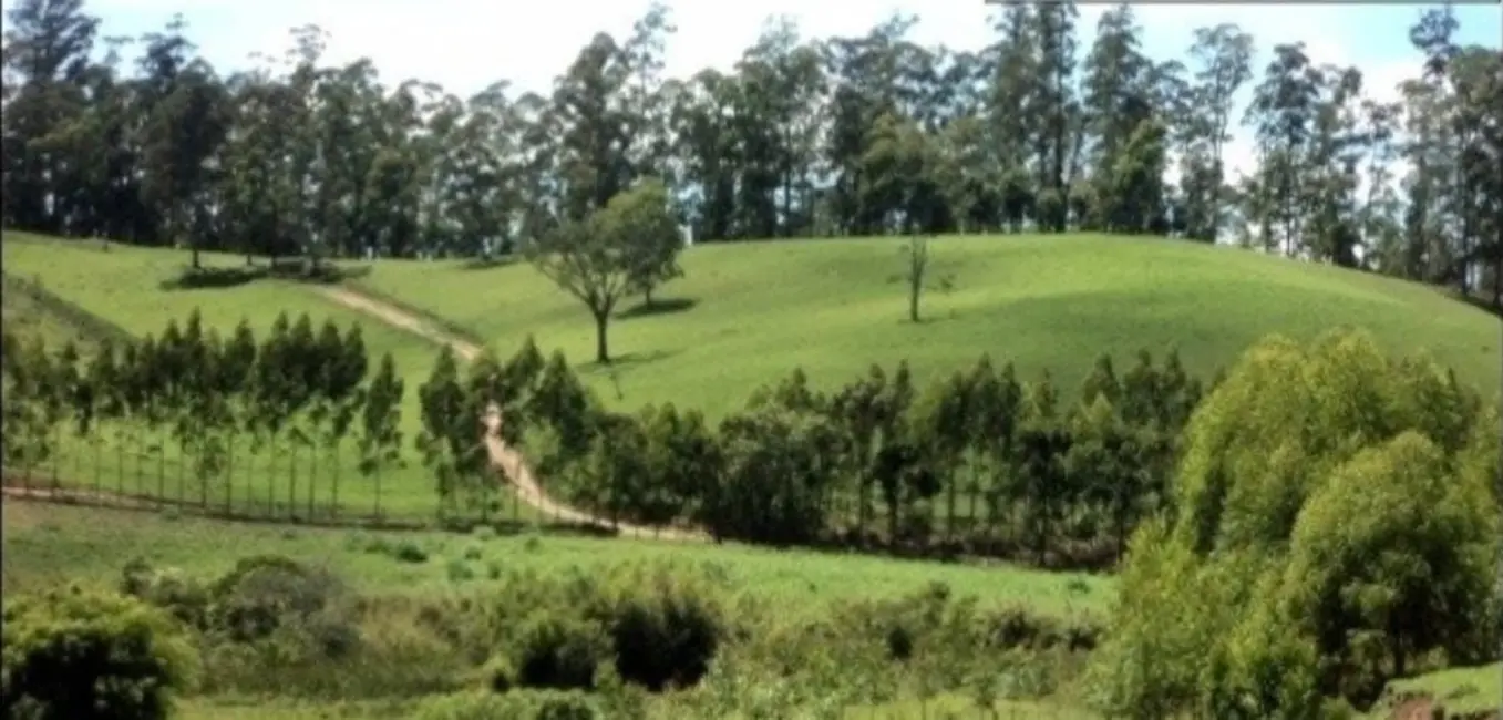 Foto 5 de Fazenda / Haras com 4 quartos à venda, 300m2 em Centro, Guaratingueta - SP