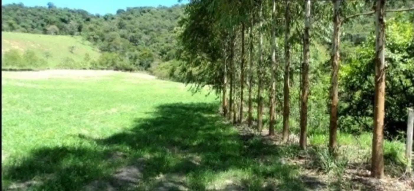 Foto 8 de Fazenda / Haras com 4 quartos à venda, 300m2 em Centro, Guaratingueta - SP