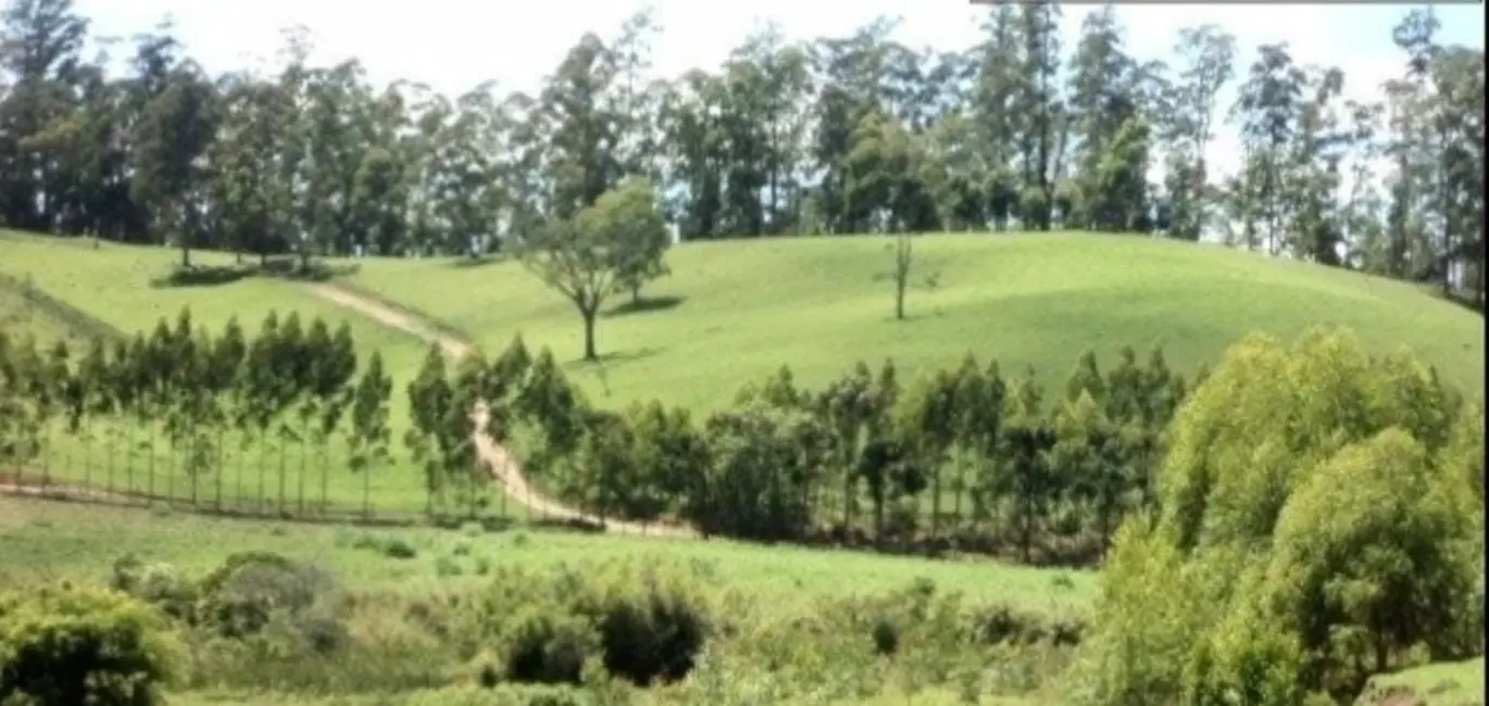 Foto 9 de Fazenda / Haras com 4 quartos à venda, 300m2 em Centro, Guaratingueta - SP