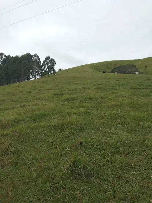 Sítio / Rancho com 4 quartos à venda, 300m2 em Centro, Paraibuna - SP - imagem 5 Foto 5 de Sítio / Rancho com 4 quartos à venda, 300m2 em Centro, Paraibuna - SP