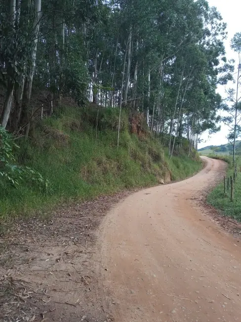 Sítio / Rancho com 4 quartos à venda, 300m2 em Centro, Paraibuna - SP - imagem 6 Foto 6 de Sítio / Rancho com 4 quartos à venda, 300m2 em Centro, Paraibuna - SP