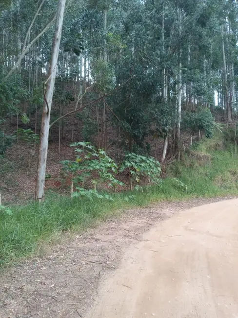 Sítio / Rancho com 4 quartos à venda, 300m2 em Centro, Paraibuna - SP - imagem 2 Foto 2 de Sítio / Rancho com 4 quartos à venda, 300m2 em Centro, Paraibuna - SP