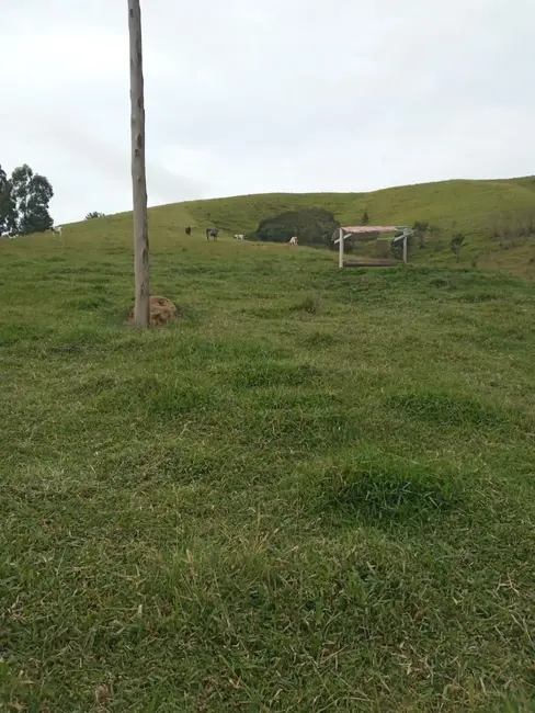 Sítio / Rancho com 4 quartos à venda, 300m2 em Centro, Paraibuna - SP - imagem 3 Foto 3 de Sítio / Rancho com 4 quartos à venda, 300m2 em Centro, Paraibuna - SP