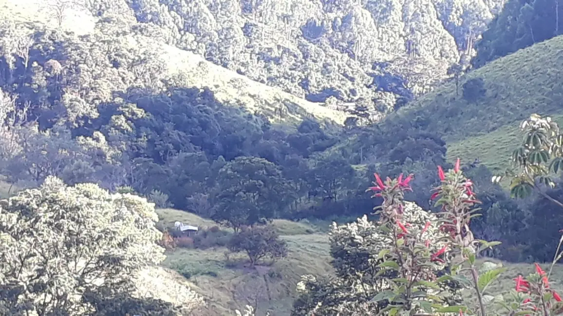 Foto 4 de Fazenda / Haras com 1 quarto à venda, 100m2 em Vila Isabel, Itajuba - MG