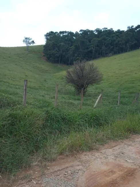 Sítio / Rancho à venda, 200m2 em Paraibuna - SP - imagem 3 Foto 3 de Sítio / Rancho à venda, 200m2 em Paraibuna - SP
