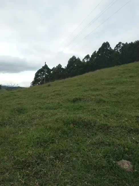 Sítio / Rancho à venda, 200m2 em Paraibuna - SP - imagem 9 Foto 9 de Sítio / Rancho à venda, 200m2 em Paraibuna - SP