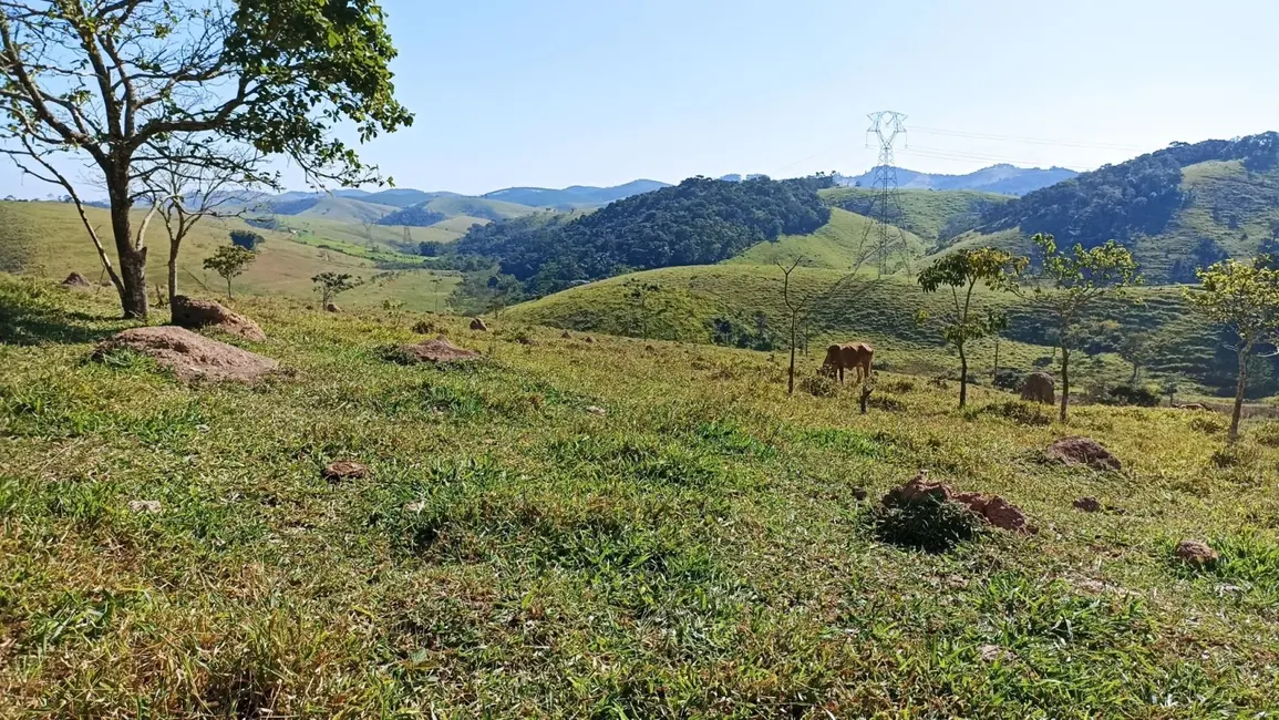 Foto 10 de Chácara à venda, 20m2 em Jambeiro - SP